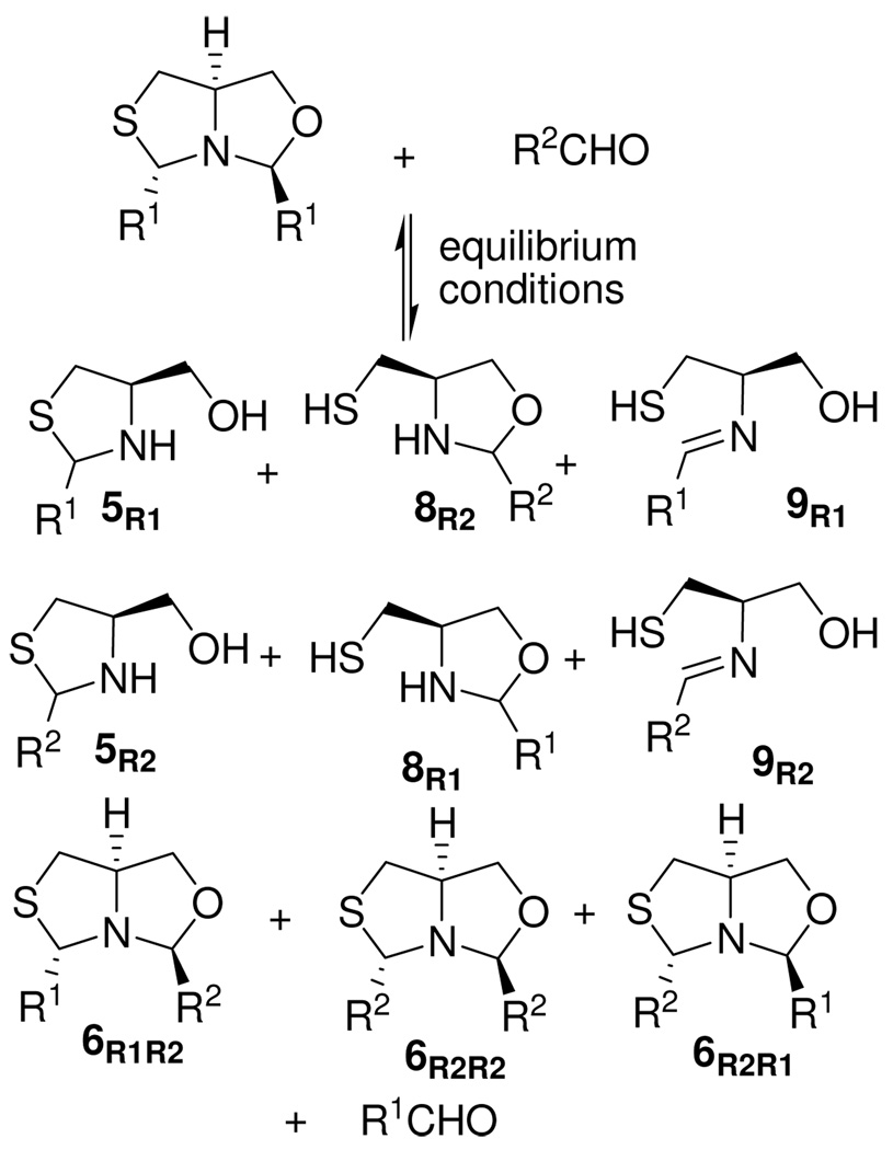 Scheme 5