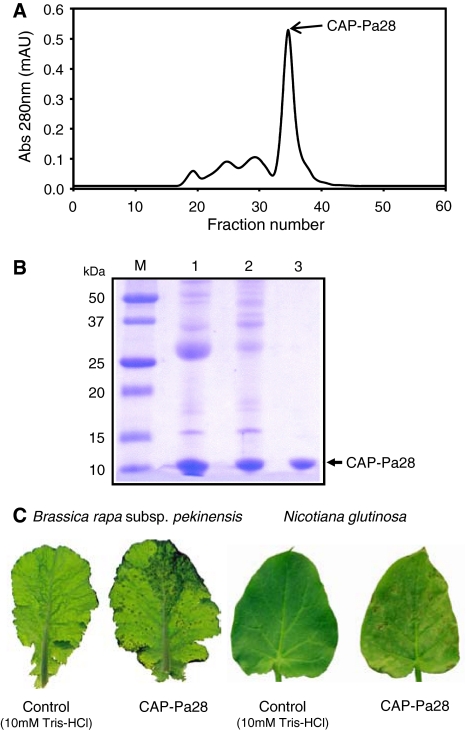 Fig. 1