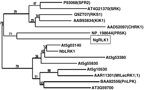 Fig. 5