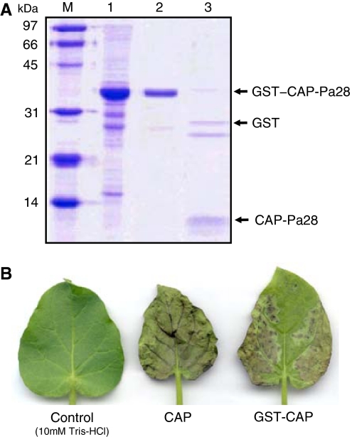 Fig. 3