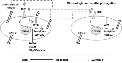 Fig. 11.