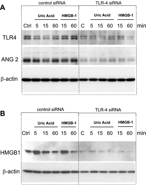 Fig. 10.