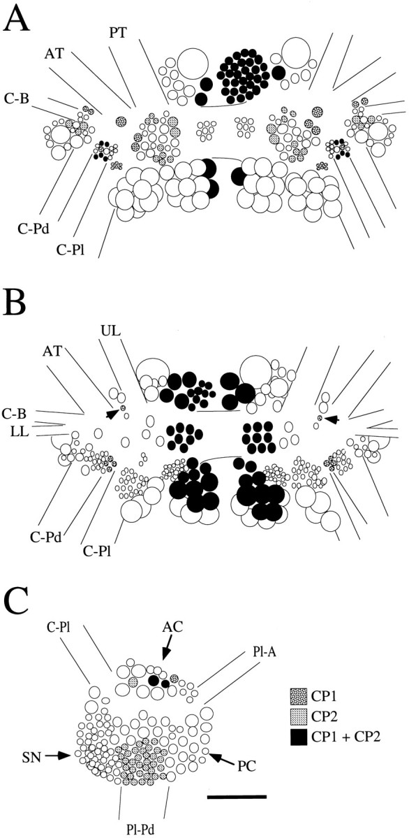 Fig. 5.