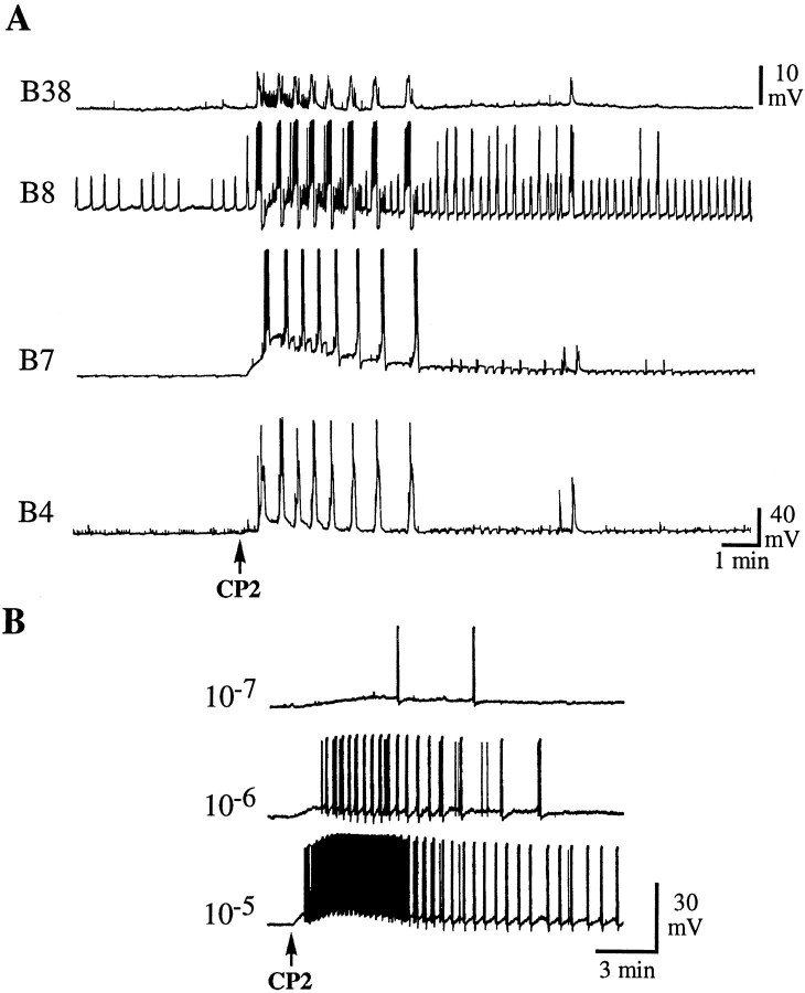 Fig. 9.