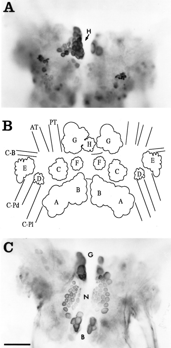 Fig. 1.