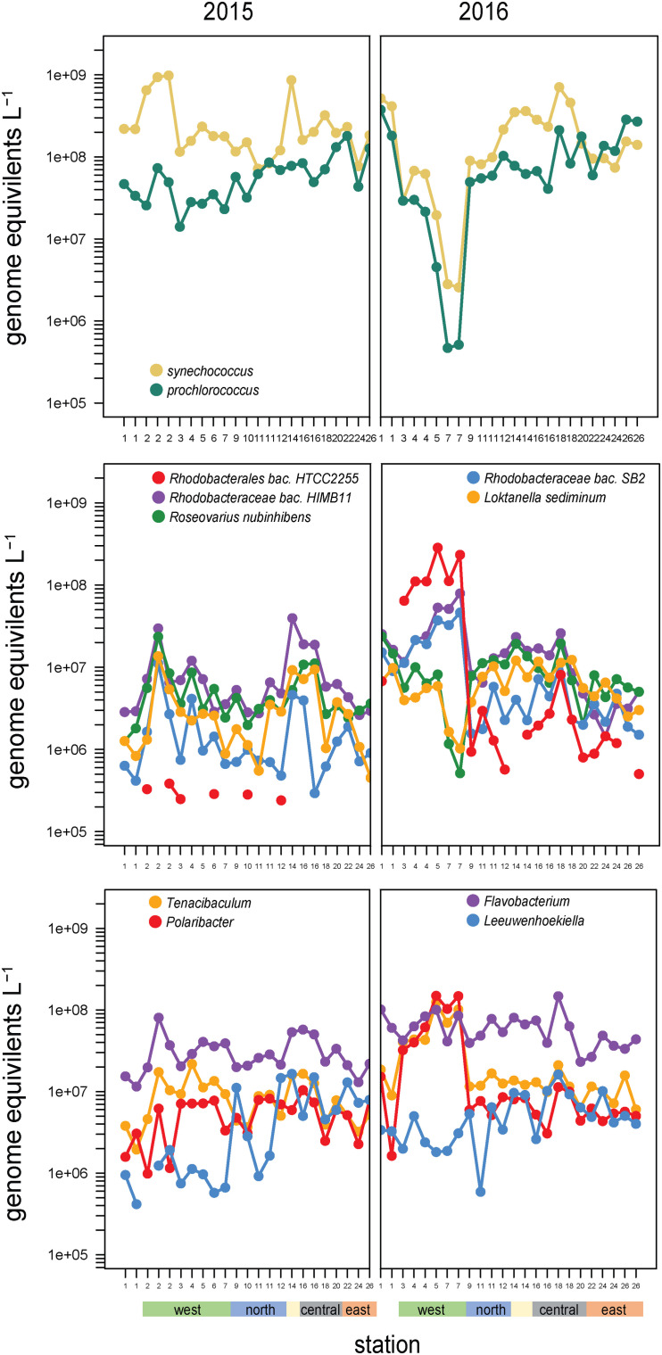 FIGURE 6