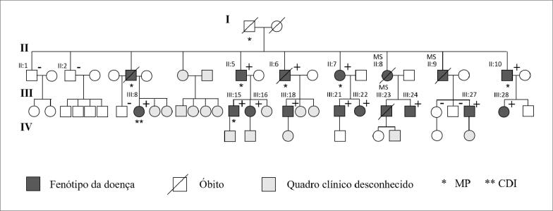 Figura 1