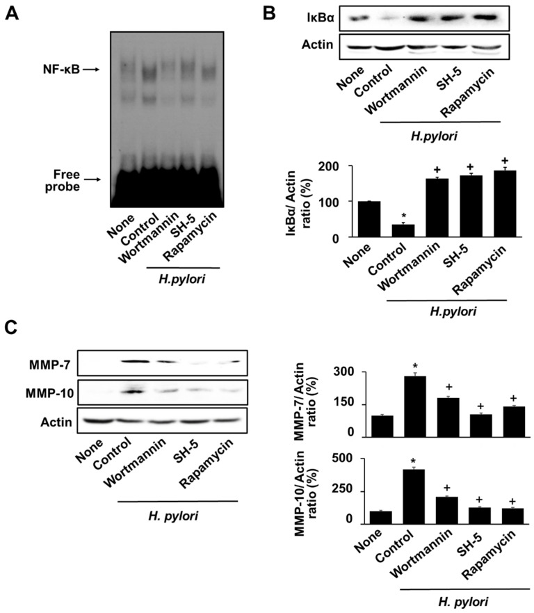 Figure 6