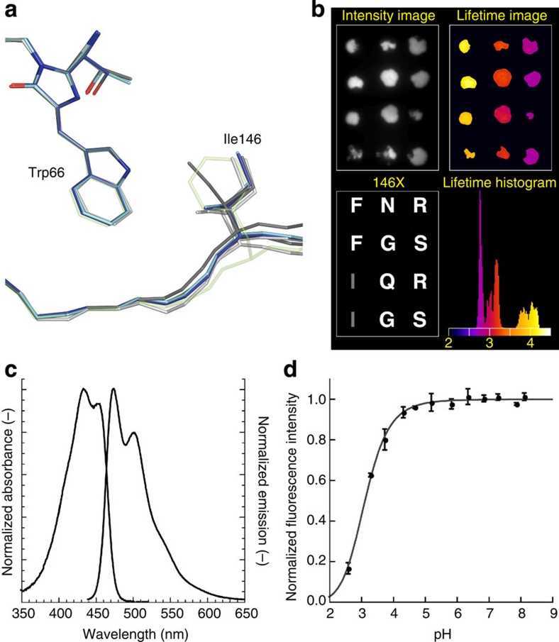 Figure 4