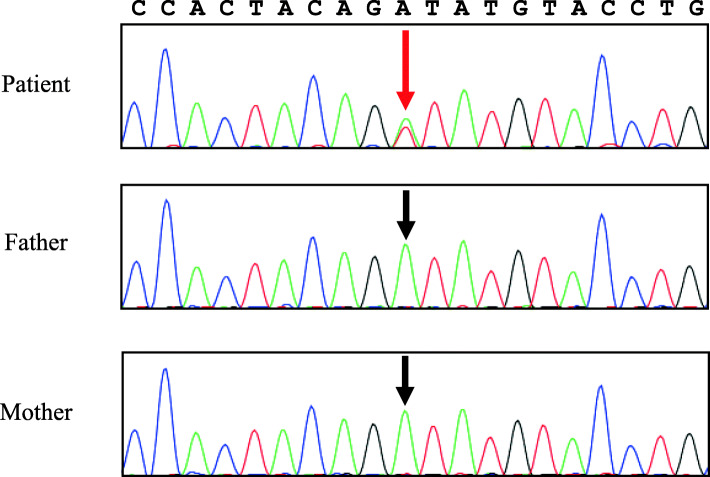 Fig. 6