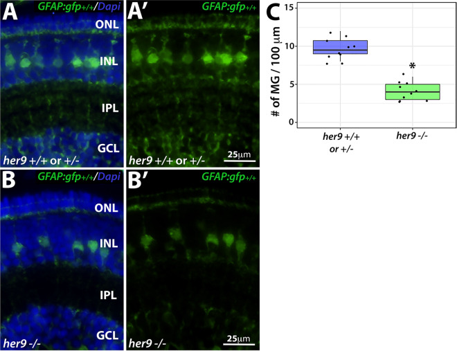 Figure 7