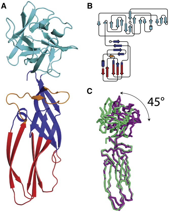 Figure 1