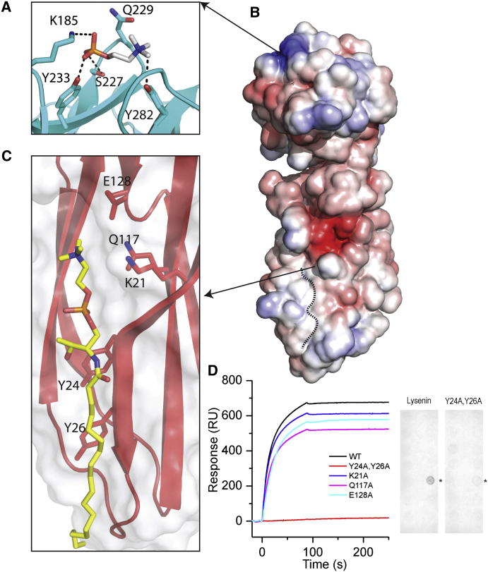 Figure 3