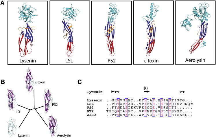 Figure 2