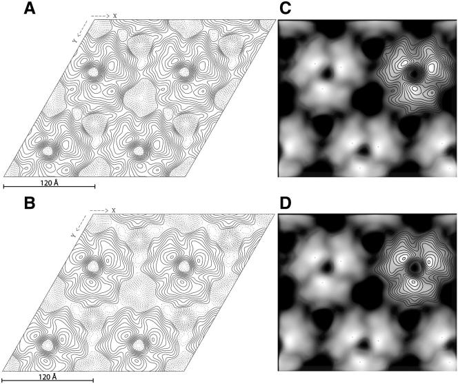 Figure 5