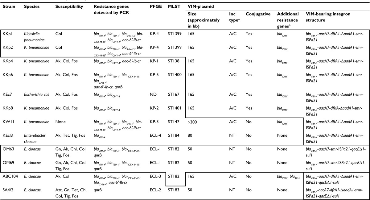 graphic file with name idr-10-469Fig3.jpg