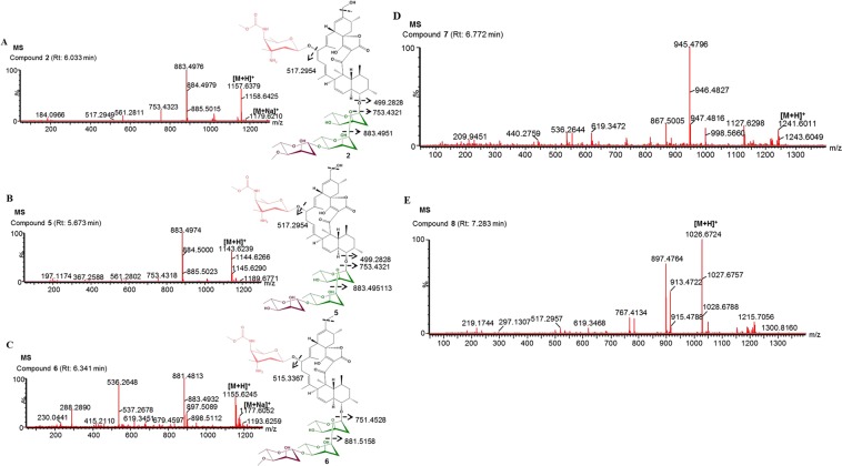 Figure 6