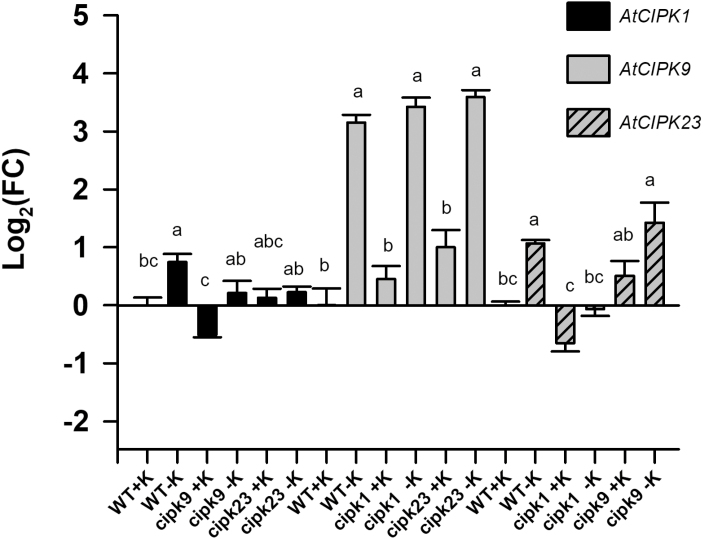 Fig. 3.