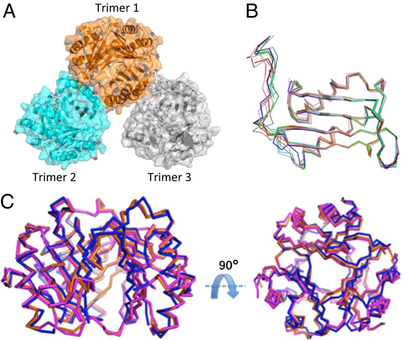 Fig. 3.