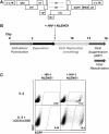 <b>FIG. 3.</b>