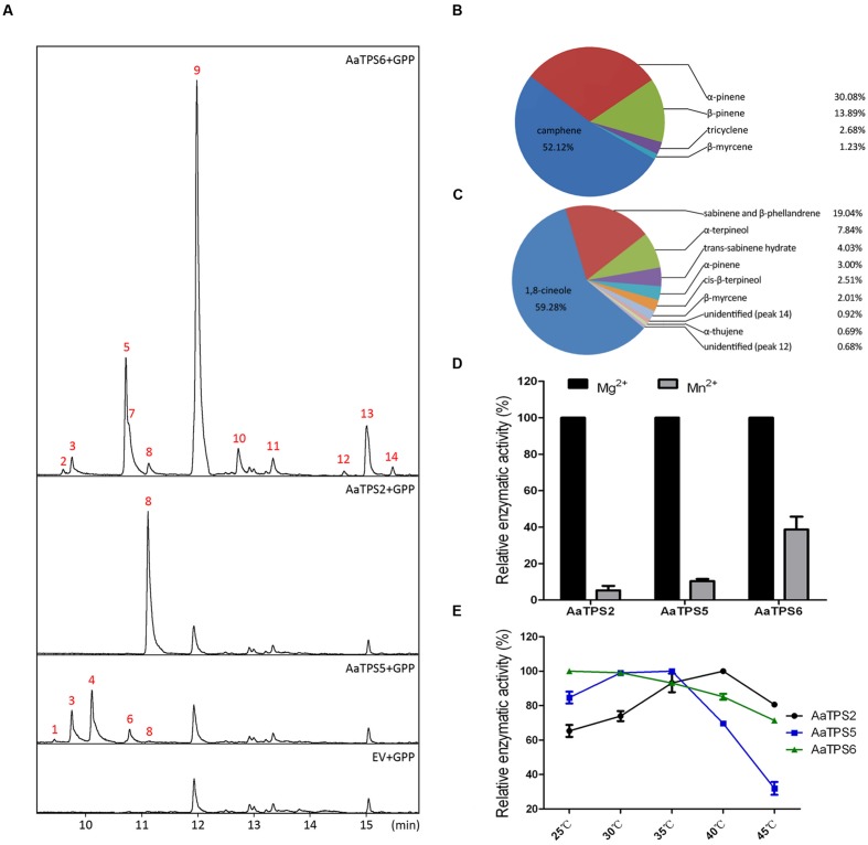 FIGURE 3