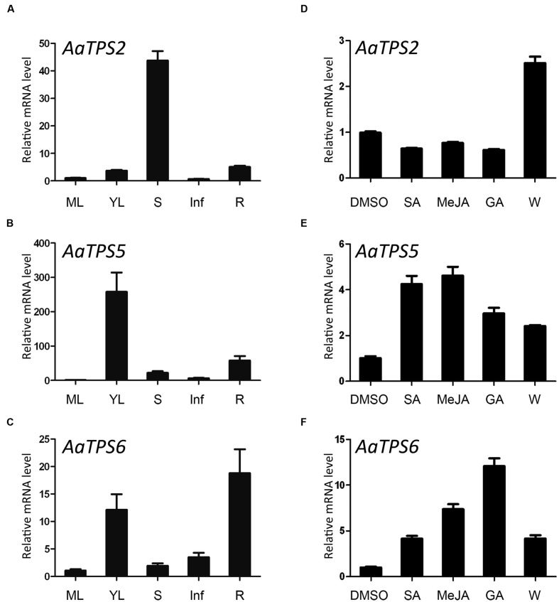 FIGURE 4