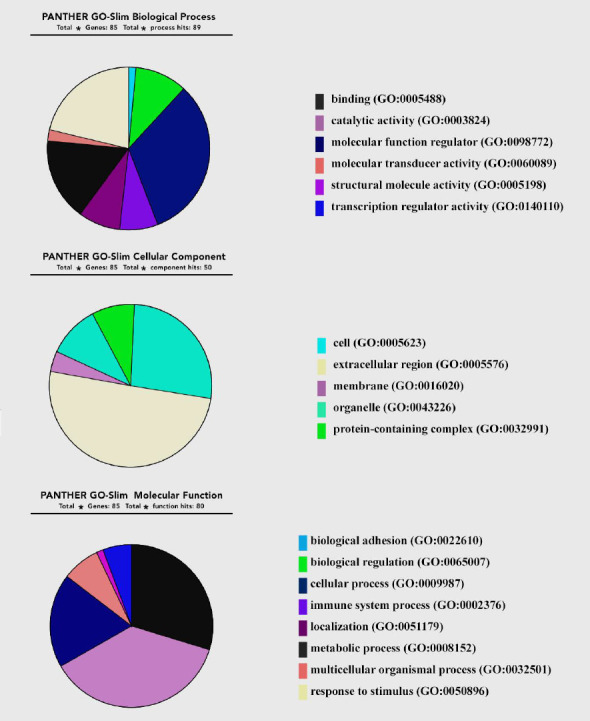 Prediction Of Blood Mirna-mrna Regulatory Network In Gastric Cancer - Pmc