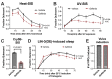 Figure 1.
<b>Gefitinib-treated animals show reduced SIS, but not other signs of LET-23/EGFR inhibition</b>