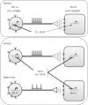 Figure 1.