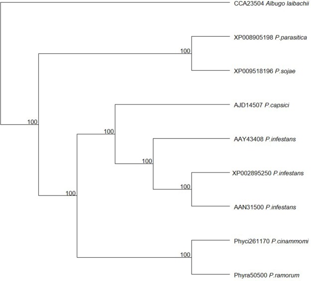 Figure 2