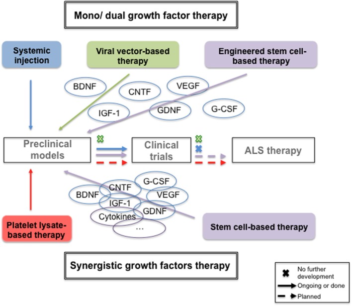 Graphical Abstract