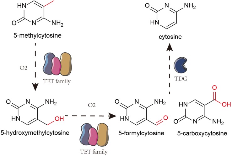 FIGURE 1