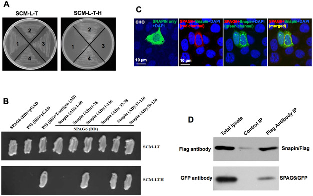 Figure 3.