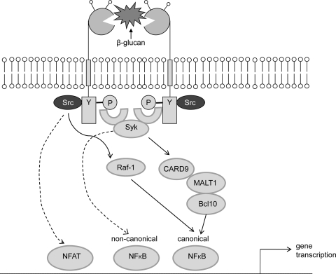 Fig. 2