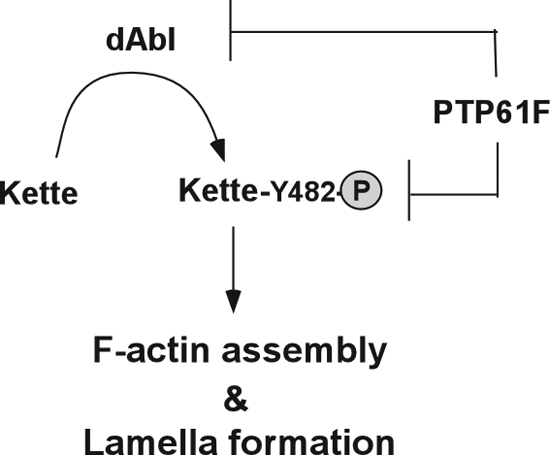 FIG. 7.