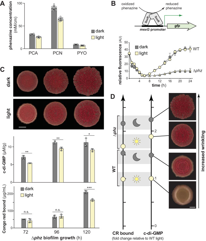 FIG 3