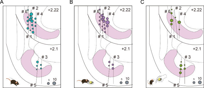 Figure 4—figure supplement 3.