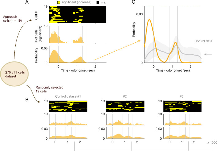 Figure 2—figure supplement 4.