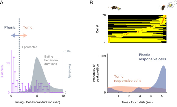 Figure 4—figure supplement 4.