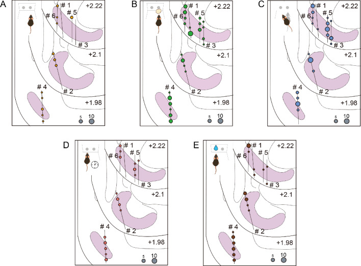 Figure 4—figure supplement 2.