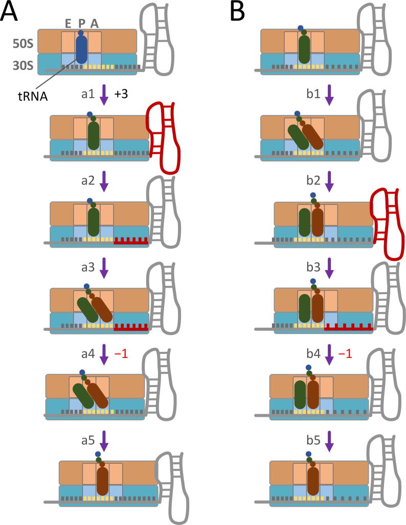 Fig. 4