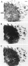Figure 8.
