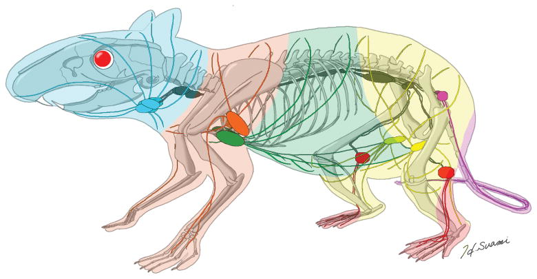 Fig. 4