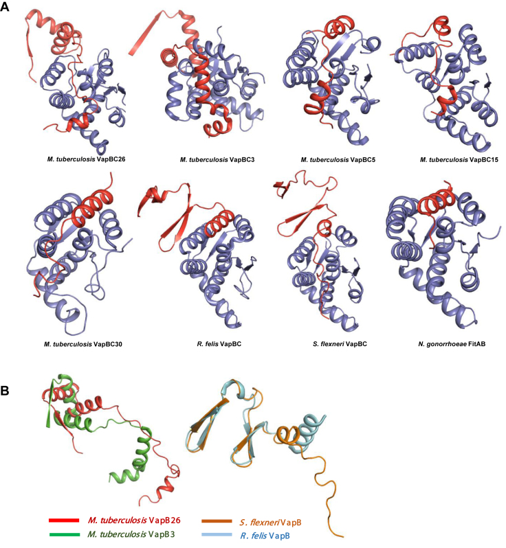 Figure 5.