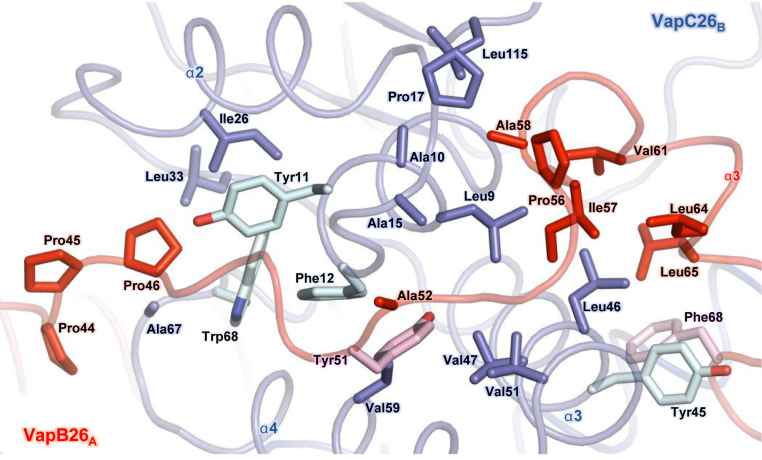 Figure 2.