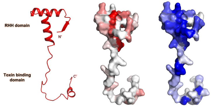 Figure 11.