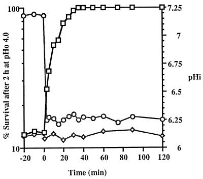 FIG. 5