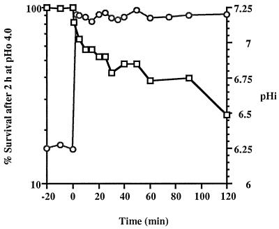 FIG. 6