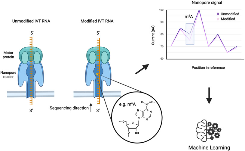 Figure 4: