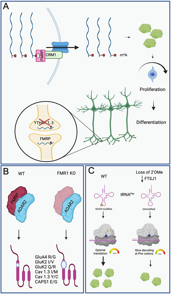 Figure 3: